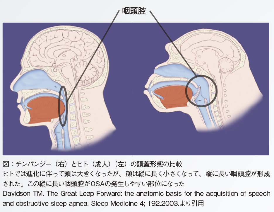 咽頭腔